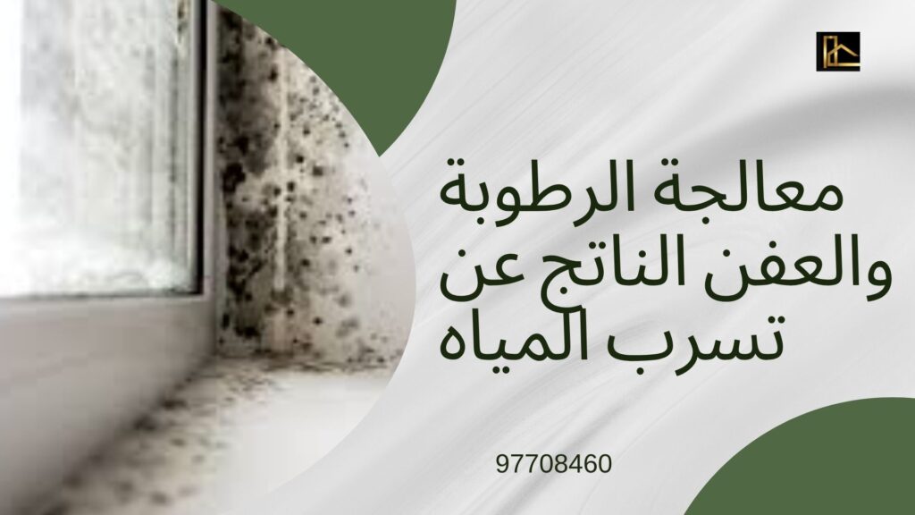 شركة كشف خرير المياه بالاحمدي 8
