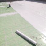 whatsapp image 2025 03 22 at 10.00.28 am (1)